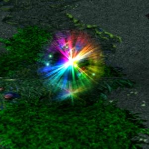Wisp